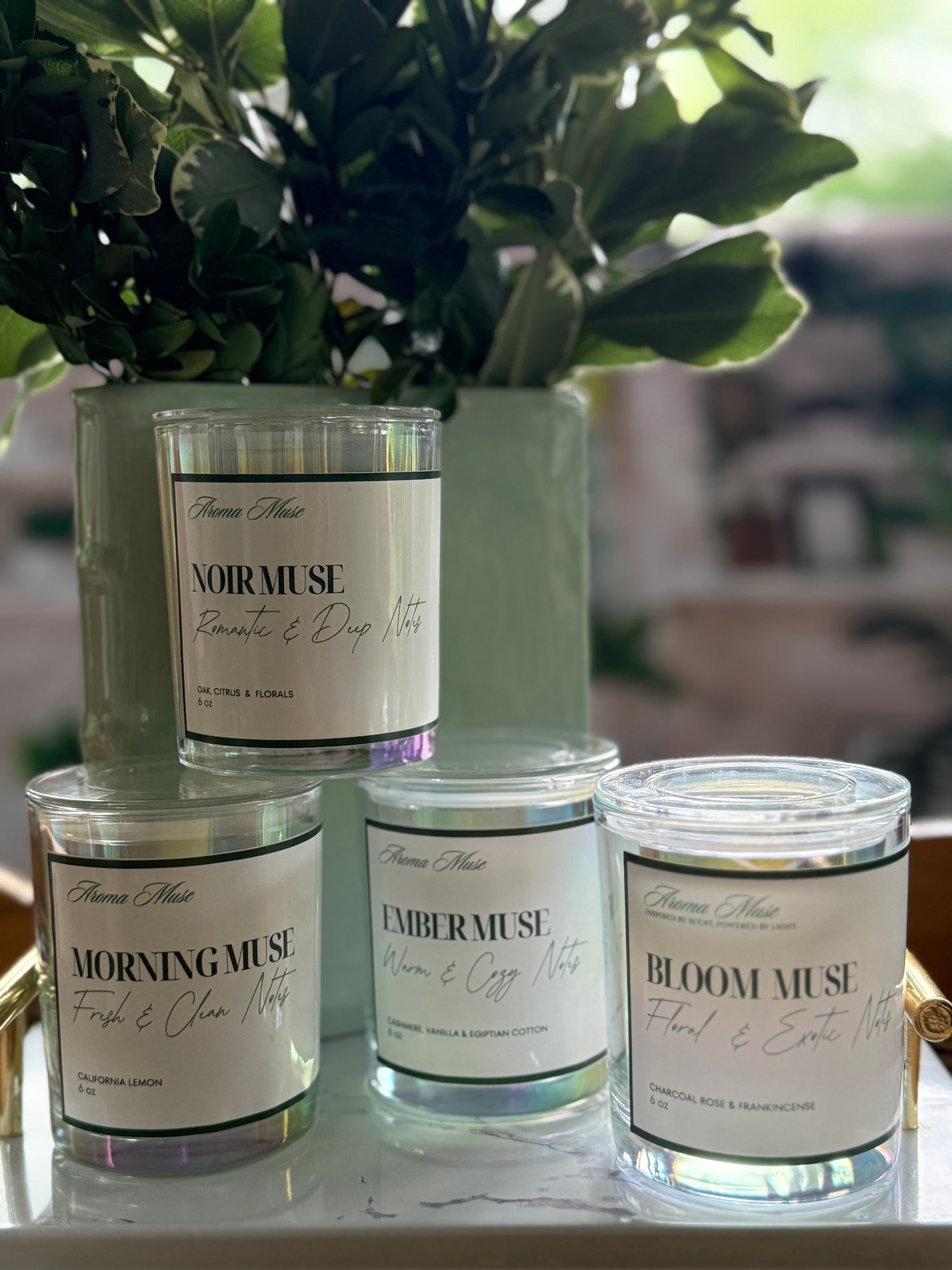 Aroma Muse 6oz