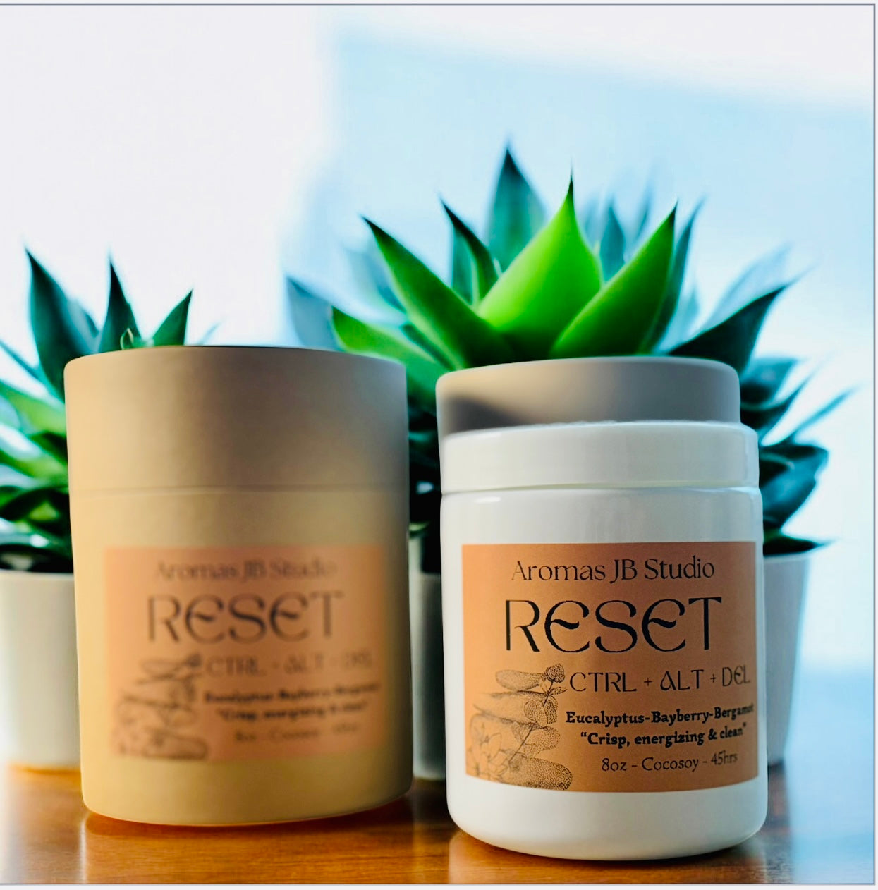 RESET 8oz