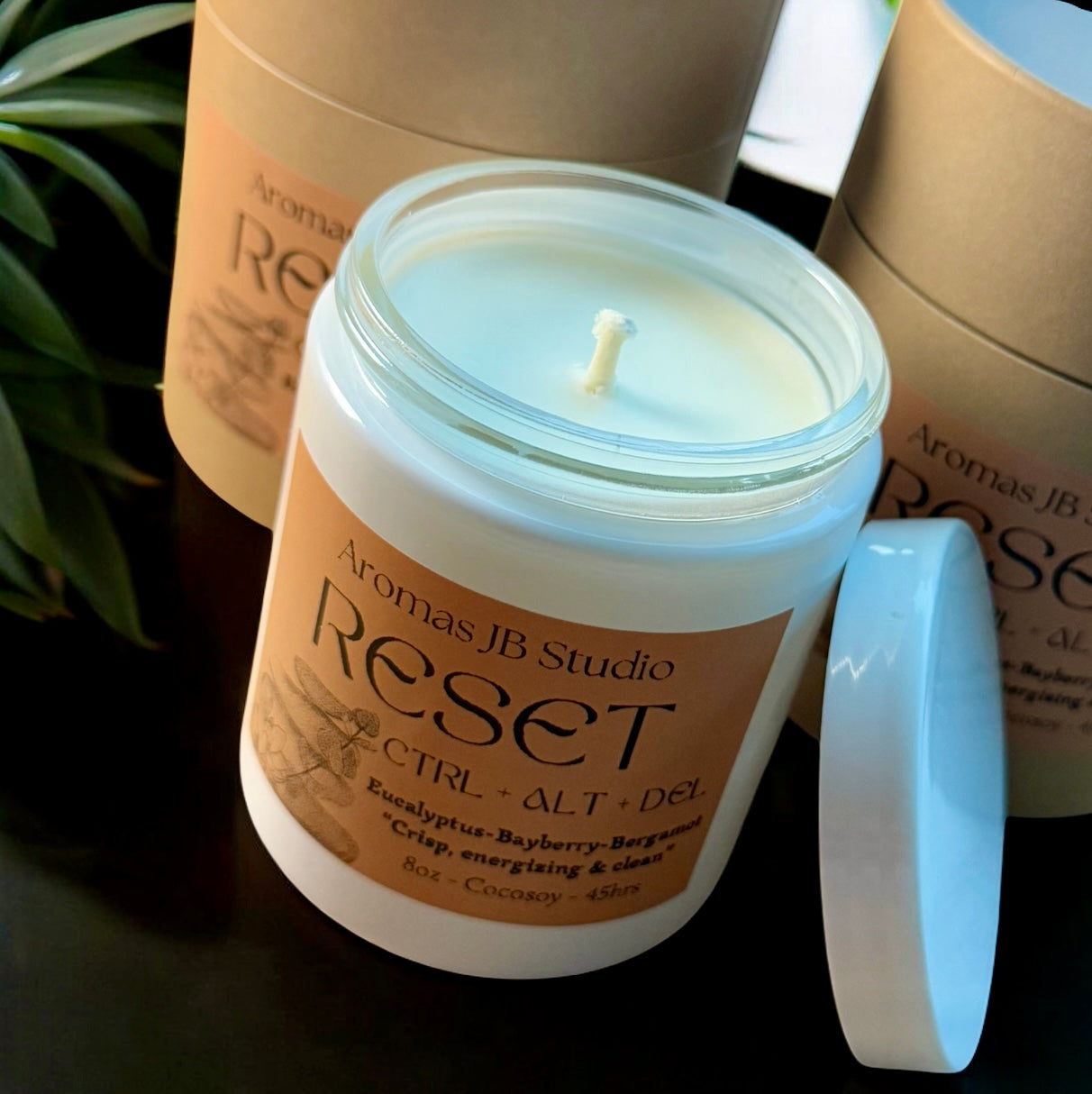 RESET 8oz
