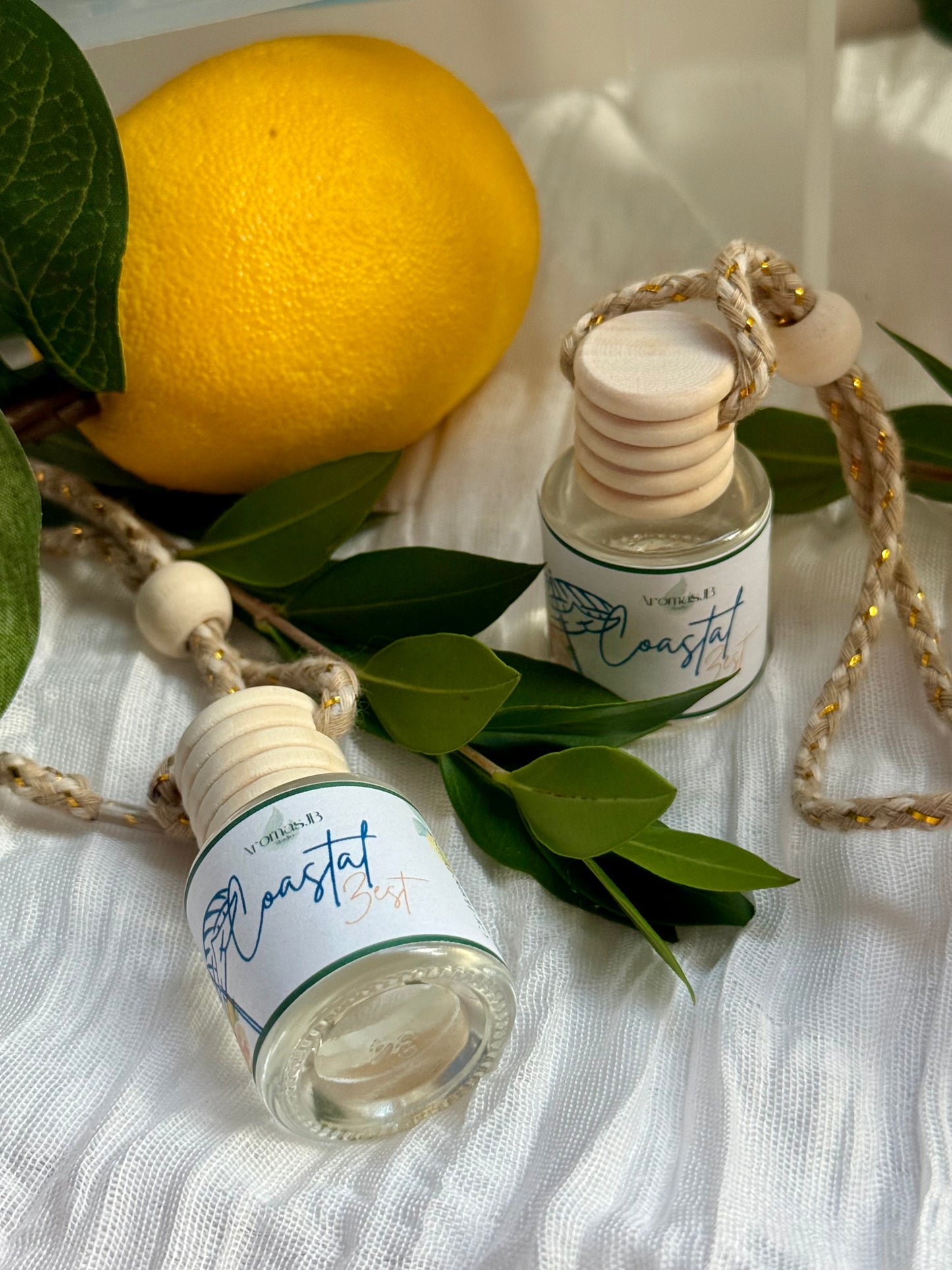 Coastal Zest Car Diffuser