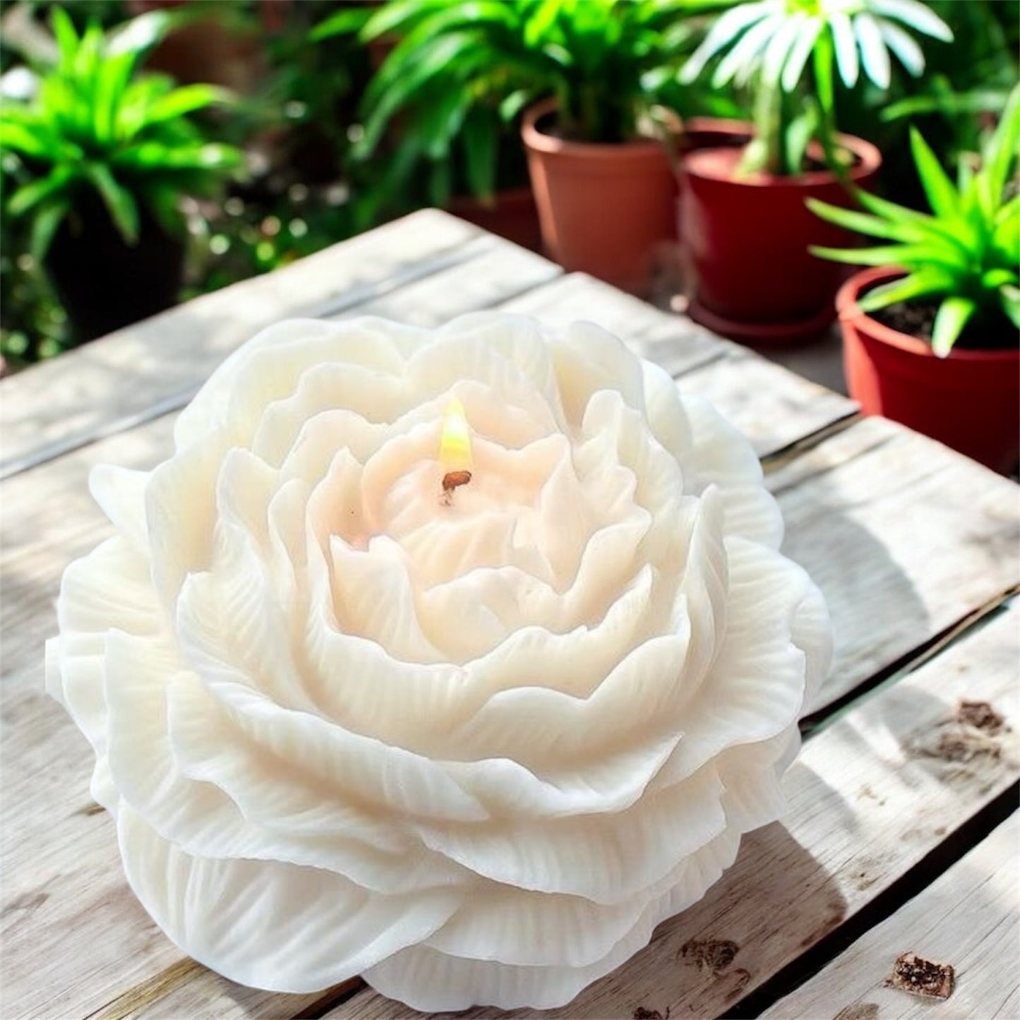 Coastal Citronella