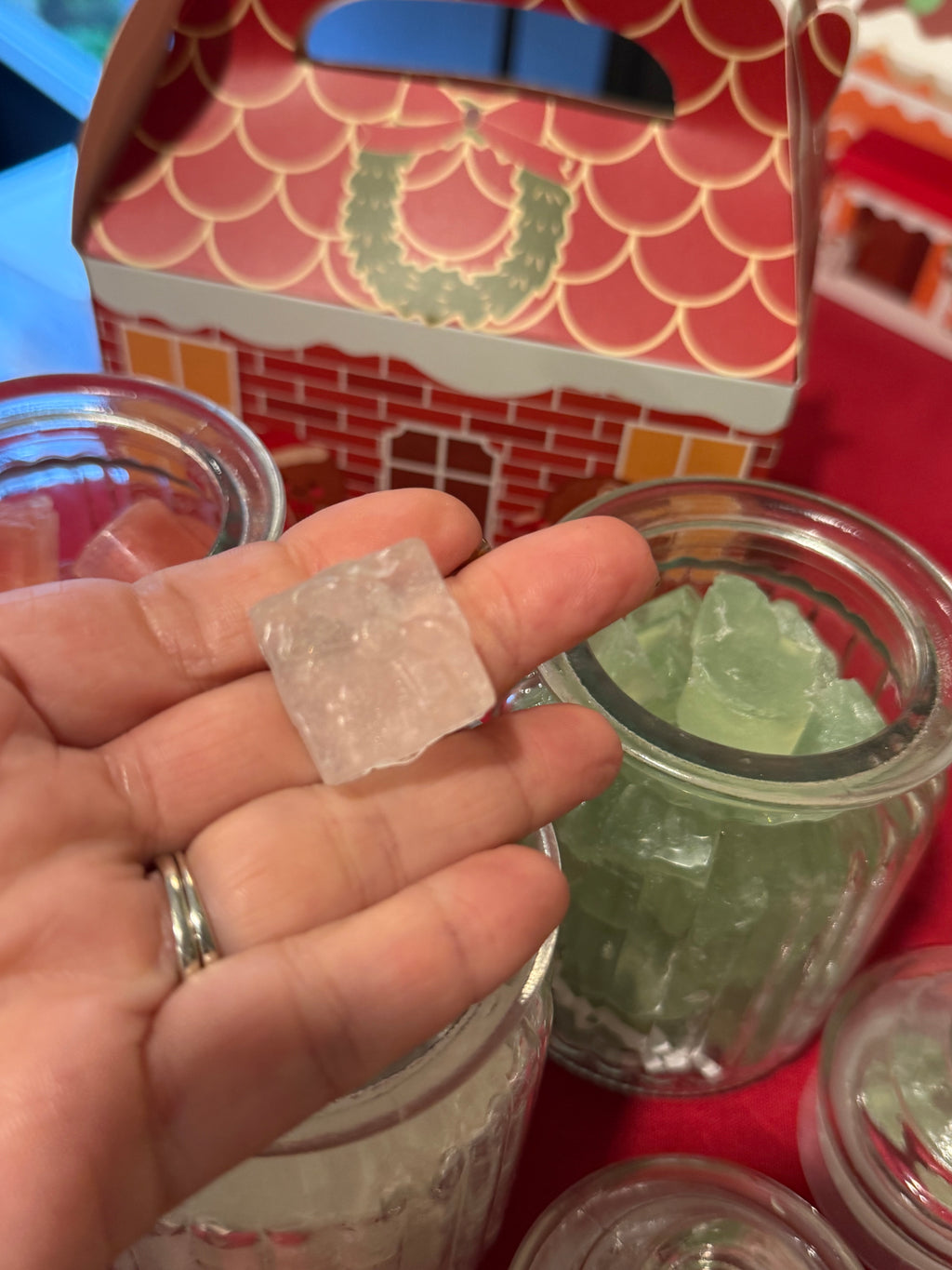 Wash & Toss - Mini Guest Soap Set