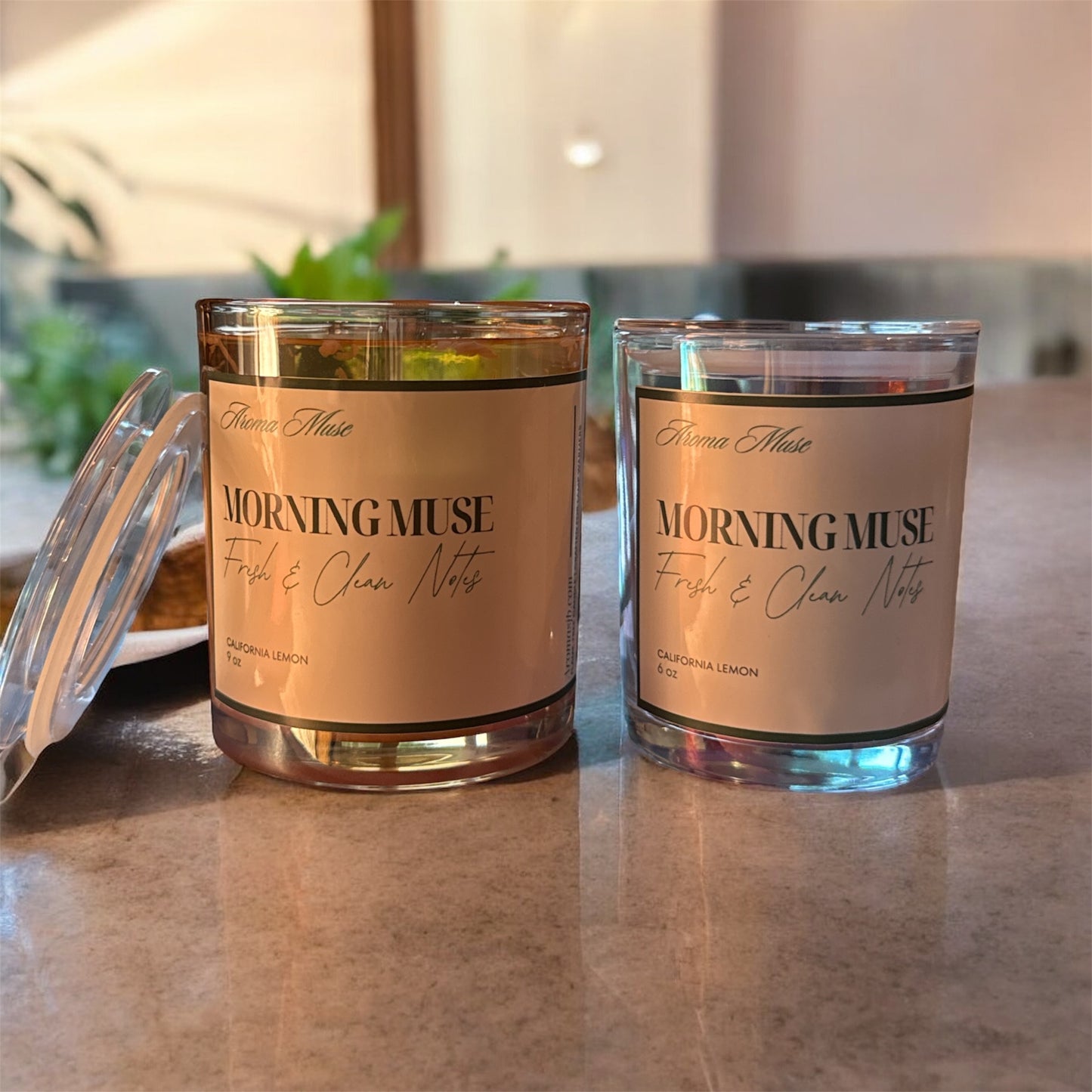 Aroma Muse 6oz