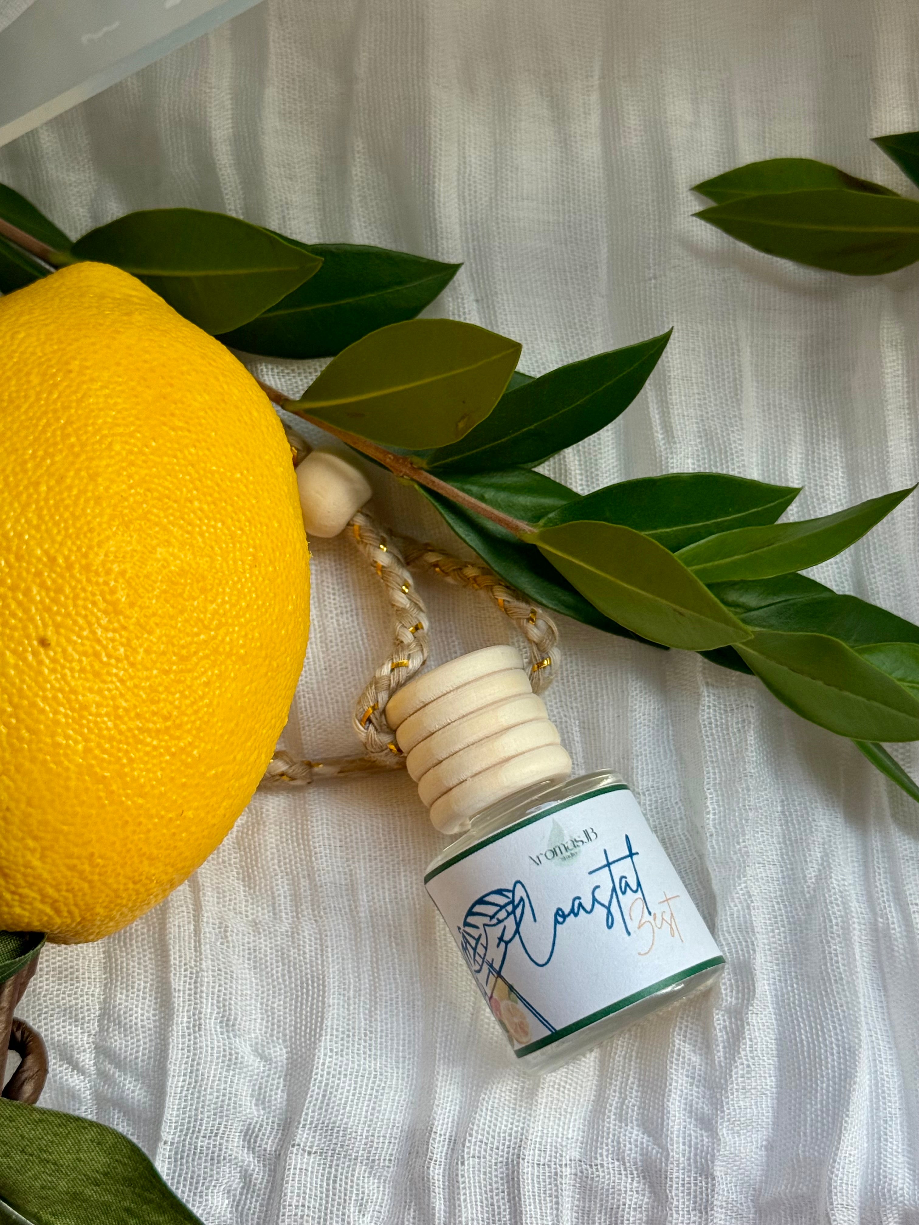 Coastal Zest Car Diffuser