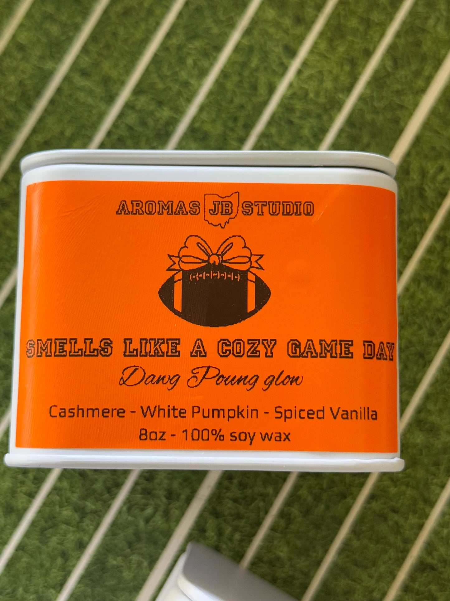 Football Season: Go Browns!