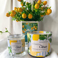 Coastal Citrus | 25oz & 8.5oz