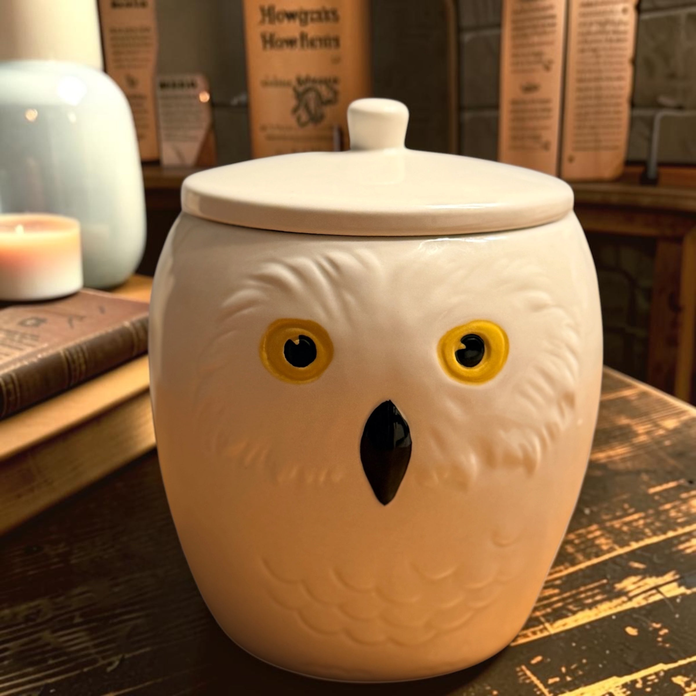 Hedwig Inspired Pumpkin Spice Candle